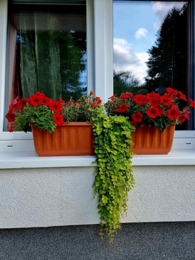 Haus Bierherr Mariazell Εξωτερικό φωτογραφία