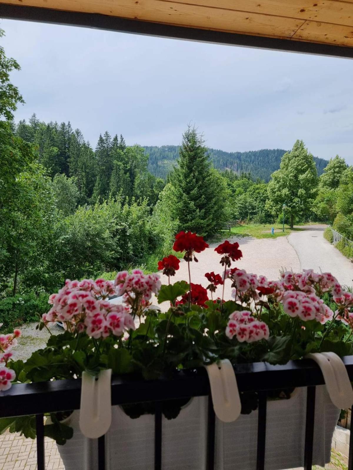 Haus Bierherr Mariazell Εξωτερικό φωτογραφία