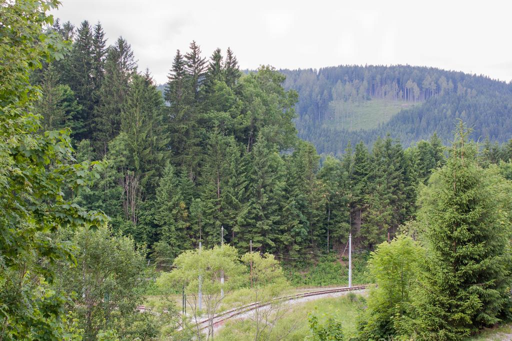 Haus Bierherr Mariazell Εξωτερικό φωτογραφία